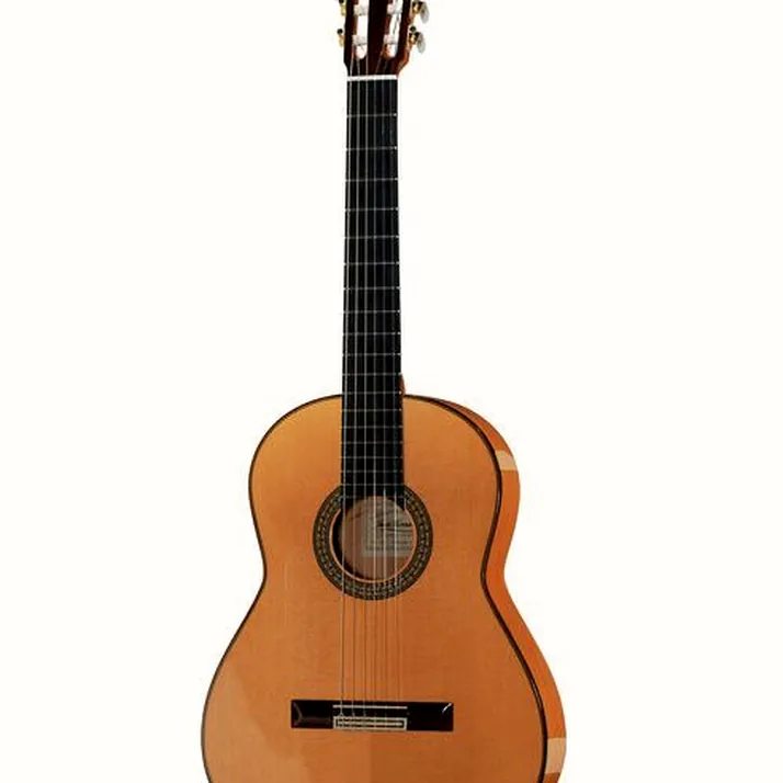 Juan Hernandez Profesor Spruce Flamenca