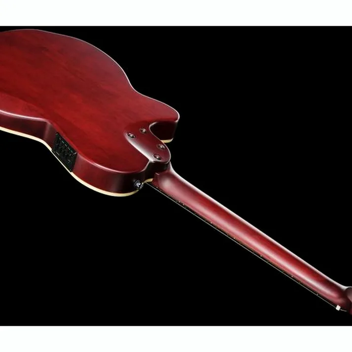 Larry Carlton G5N Natural