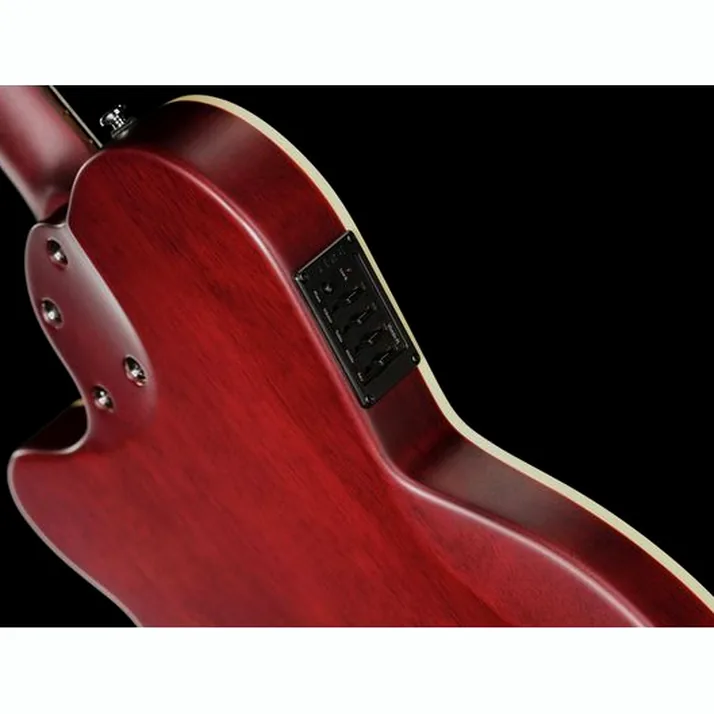 Larry Carlton G5N Natural