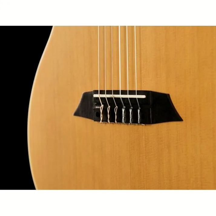 Larry Carlton G5N Natural
