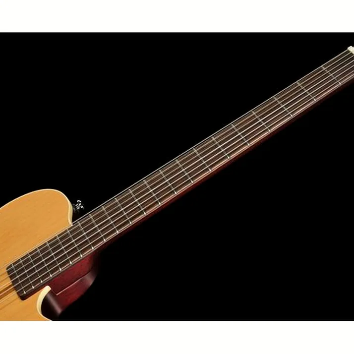Larry Carlton G5N Natural
