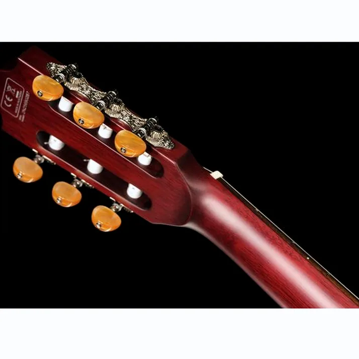Larry Carlton G5N Natural