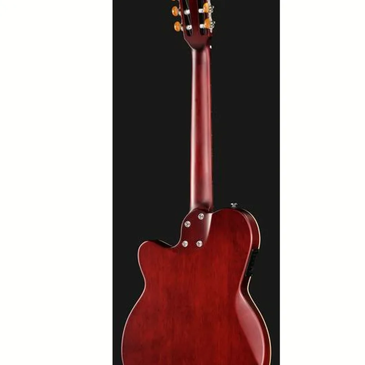 Larry Carlton G5N Natural