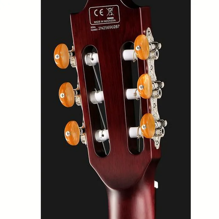 Larry Carlton G5N Natural