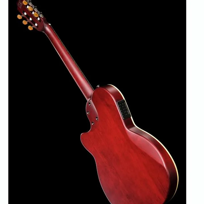 Larry Carlton G5N Natural