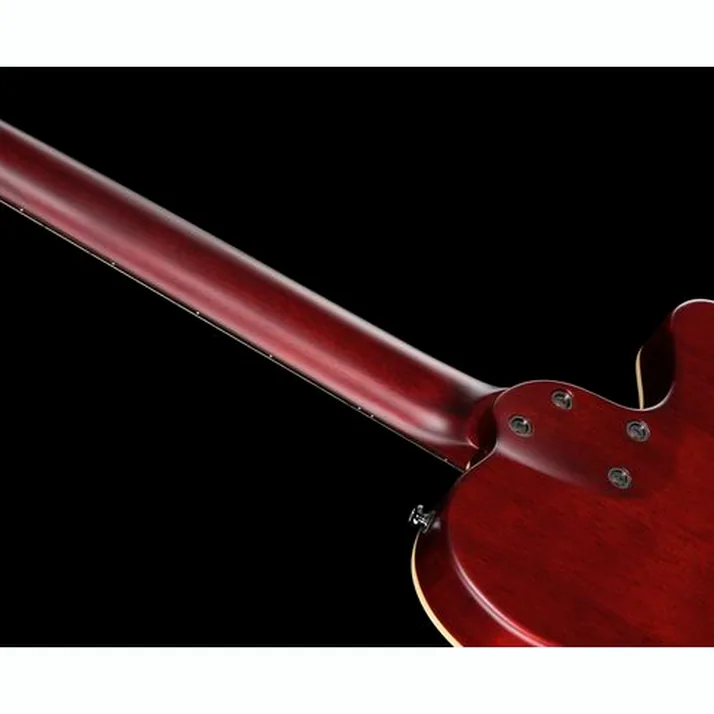 Larry Carlton G5N Natural LH