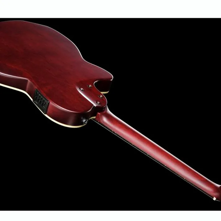 Larry Carlton G5N Tobacco Sunburst