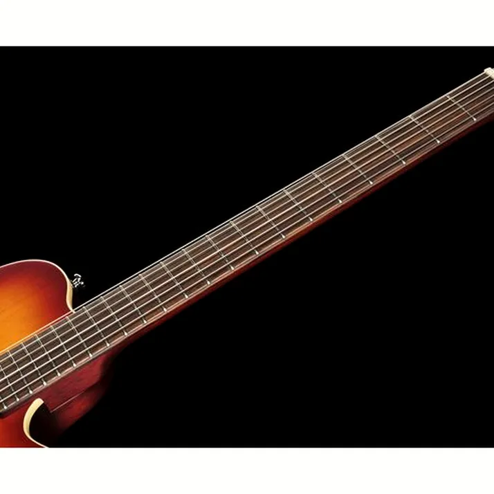 Larry Carlton G5N Tobacco Sunburst