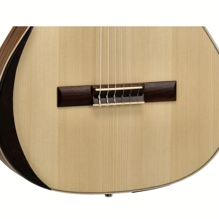 Manuel Rodriguez Ecologia Samba Plano Truss Rod