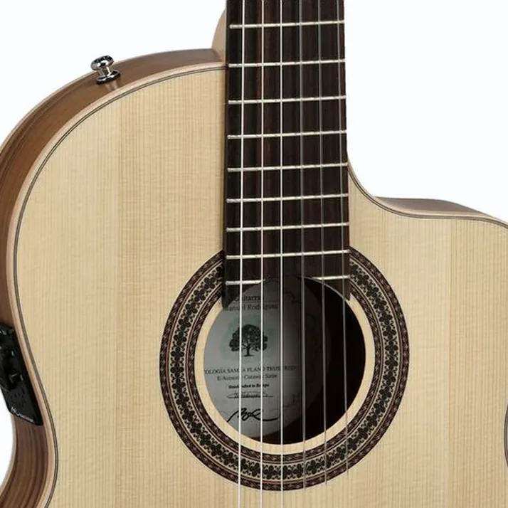Manuel Rodriguez Ecologia Samba Plano Truss Rod