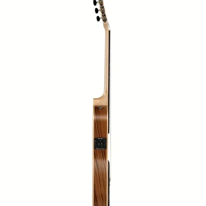 Manuel Rodriguez Ecologia Samba Plano Truss Rod