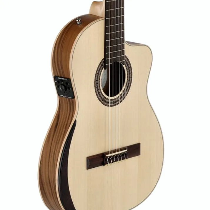Manuel Rodriguez Ecologia Samba Plano Truss Rod