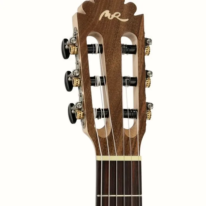 Manuel Rodriguez Ecologia Samba Plano Truss Rod