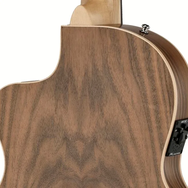 Manuel Rodriguez Ecologia Samba Plano Truss Rod