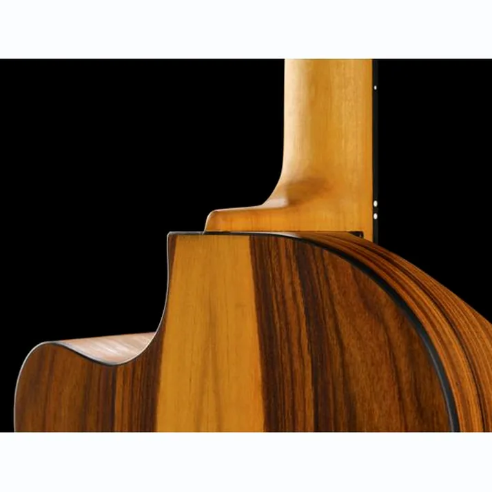 NOVA Guitars Innovator w/PU