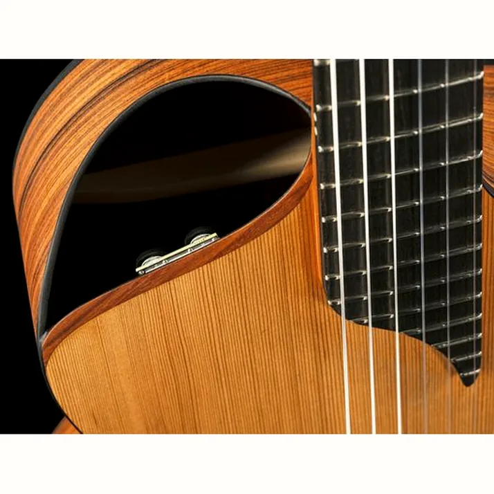 NOVA Guitars Innovator w/PU