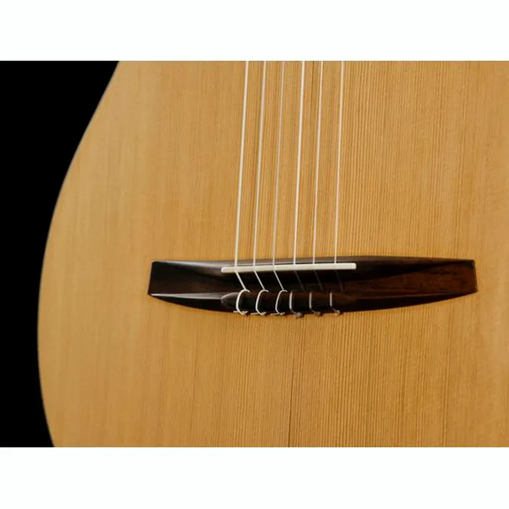 NOVA Guitars Innovator w/PU