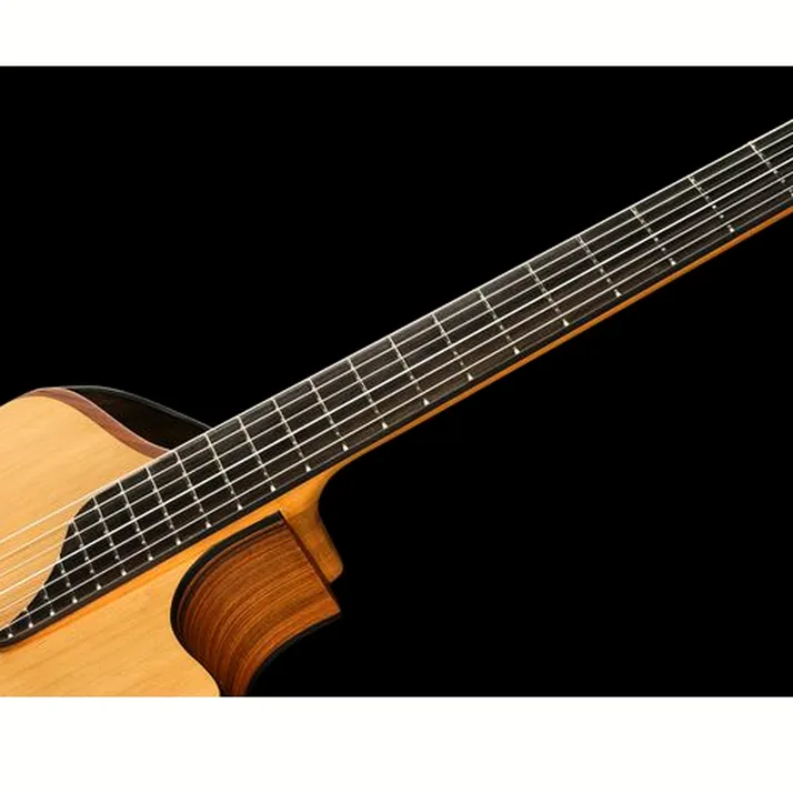 NOVA Guitars Innovator w/PU
