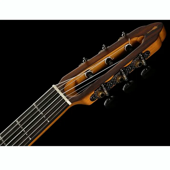 NOVA Guitars Innovator w/PU