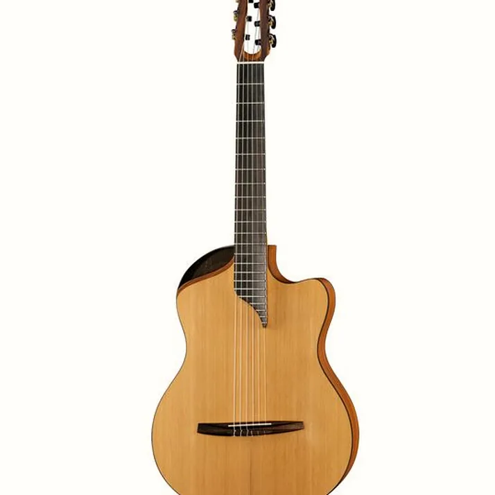 NOVA Guitars Innovator w/PU