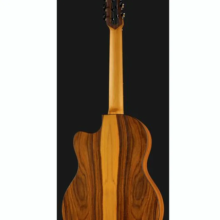 NOVA Guitars Innovator w/PU