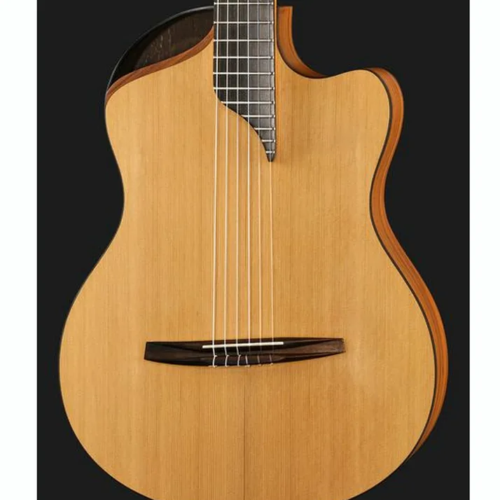 NOVA Guitars Innovator w/PU