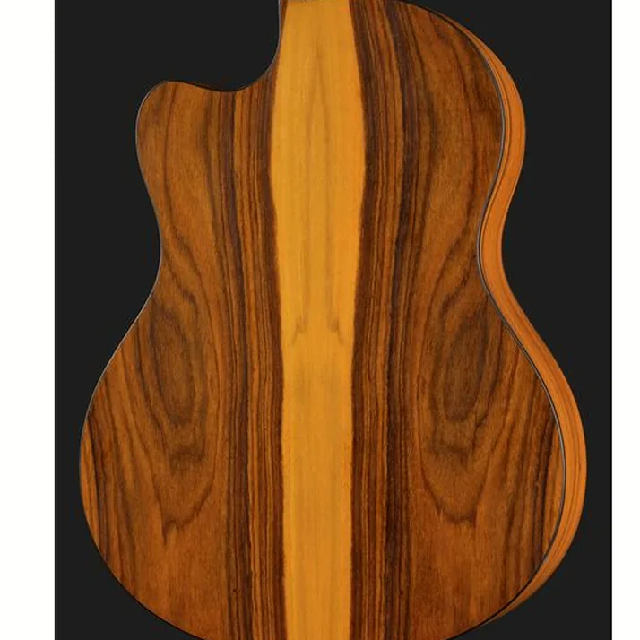 NOVA Guitars Innovator w/PU