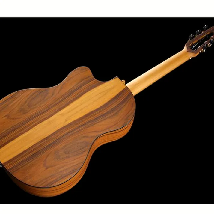NOVA Guitars Innovator w/PU