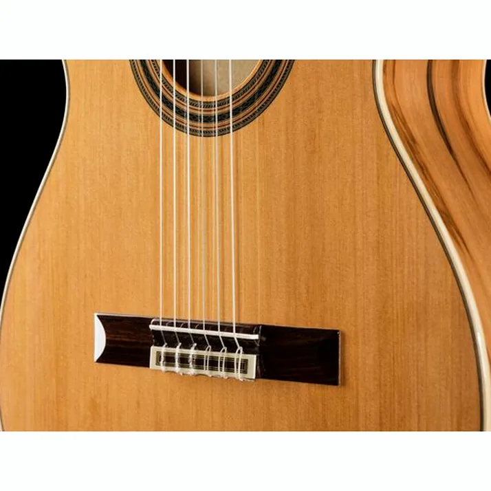 Ortega R20GRG-L