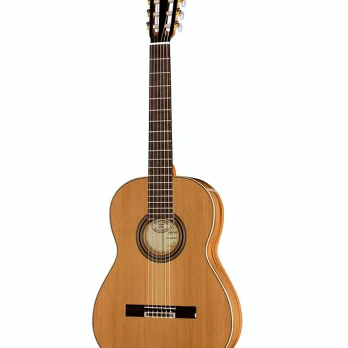 Ortega R20GRG-L