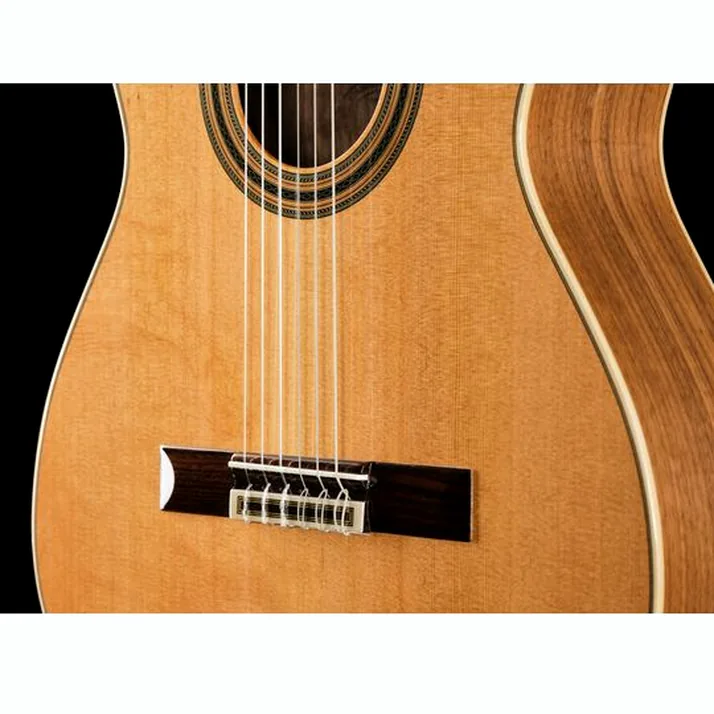 Ortega R20GWN-L