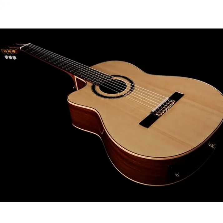 Ortega RCE138SN-L