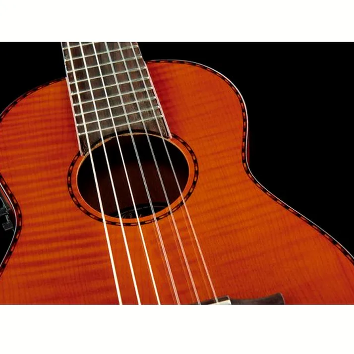 Ortega RGLE18FMH Guitarlele