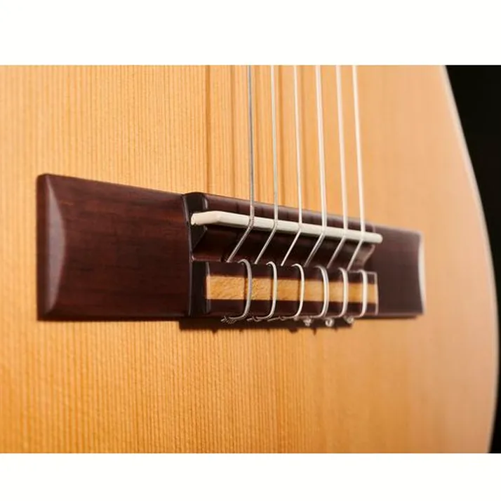 Ortega RQC25 Requinto