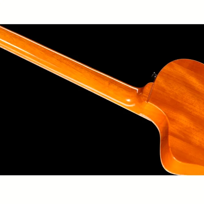 Ortega RTP-LTD