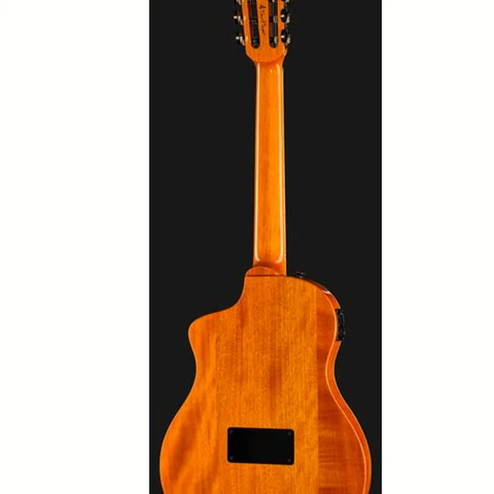 Ortega RTP-LTD