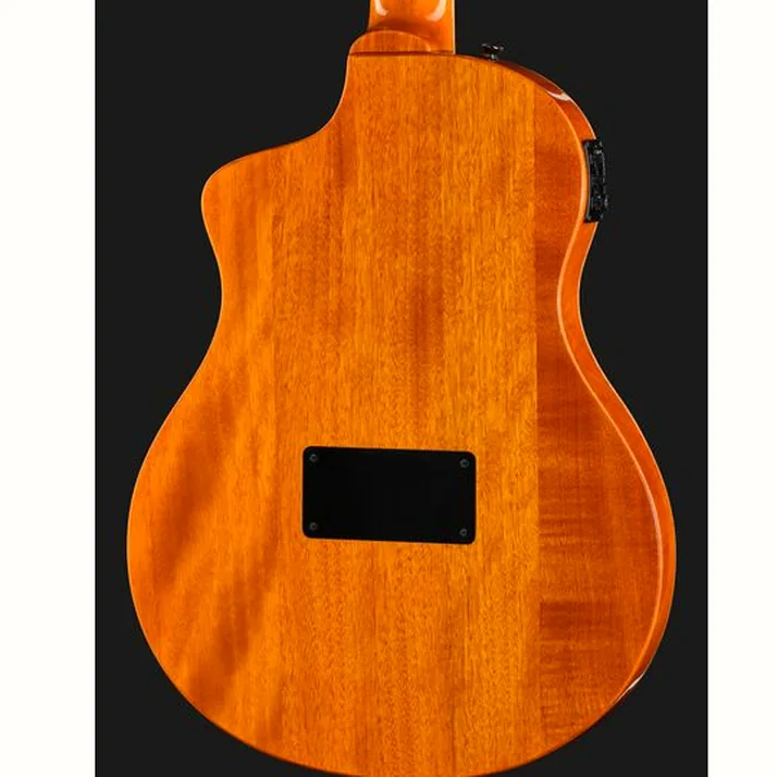 Ortega RTP-LTD