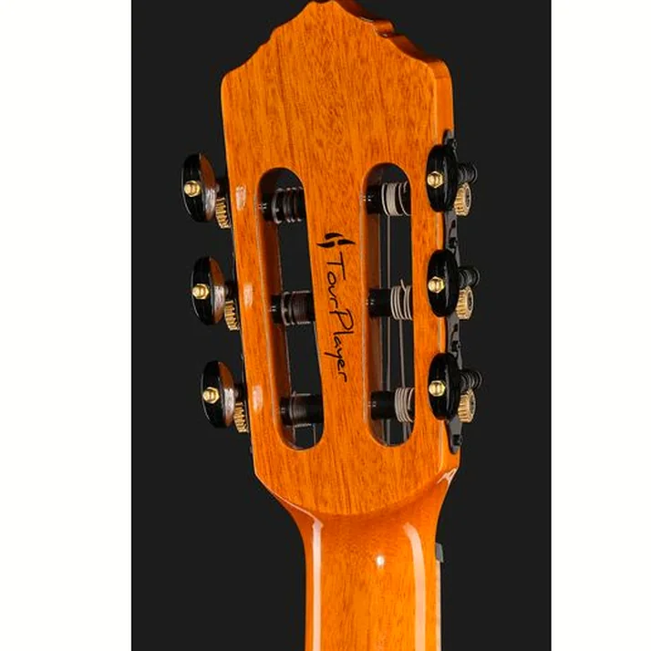 Ortega RTP-LTD
