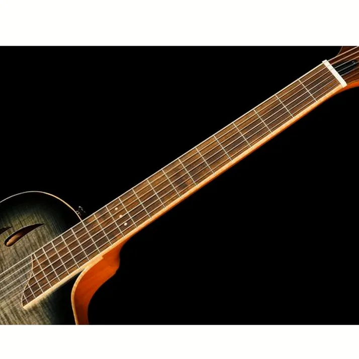 Ortega RTPG-LS1