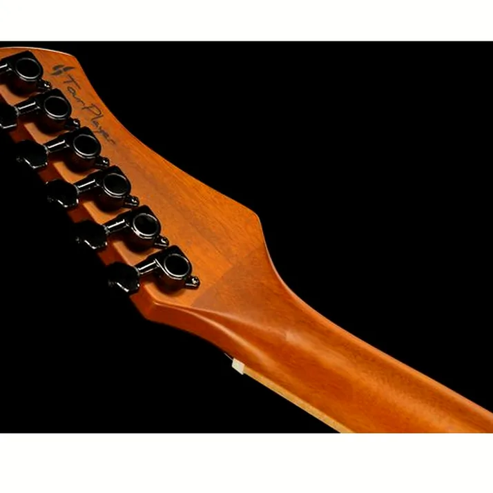 Ortega RTPG-LS1