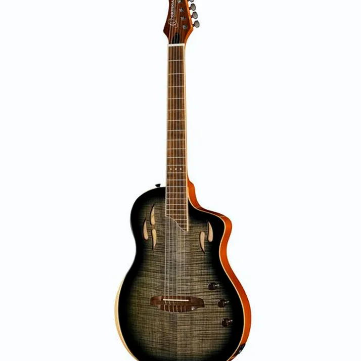 Ortega RTPG-LS1