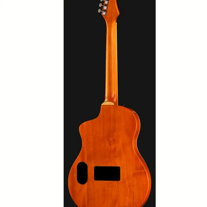 Ortega RTPG-LS1