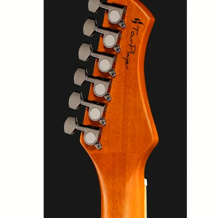 Ortega RTPG-LS1