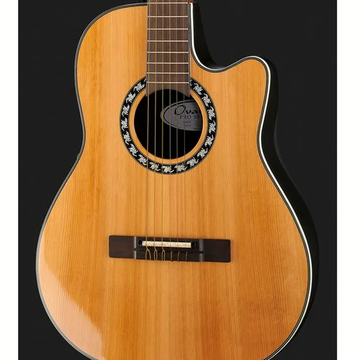 Ovation Pro Series Classic 1773AX-4-G