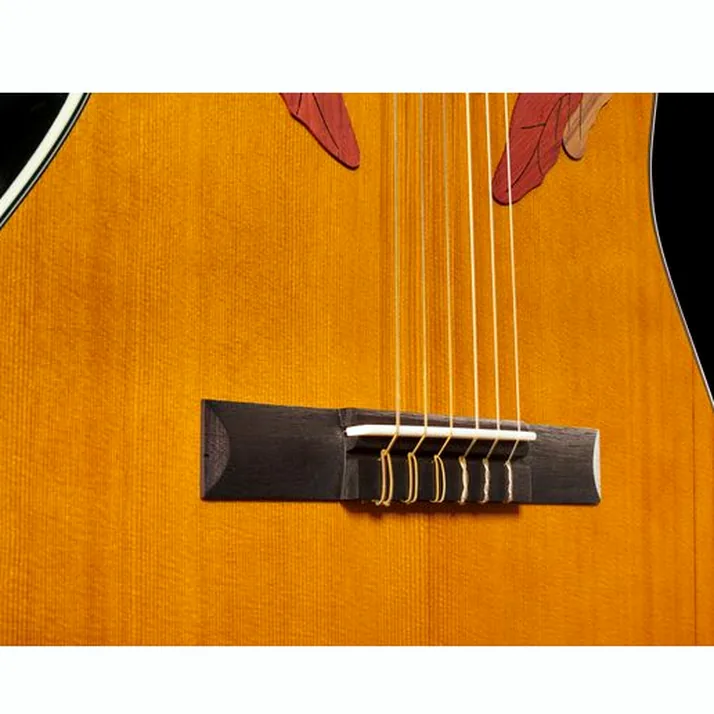 Ovation Celebrity Elite CE44C-4A-G