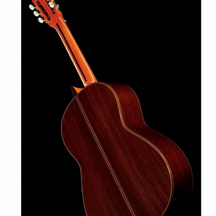 Ramirez Tradicional 1A w. case