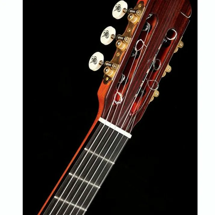 Ramirez Tradicional 1A w. case