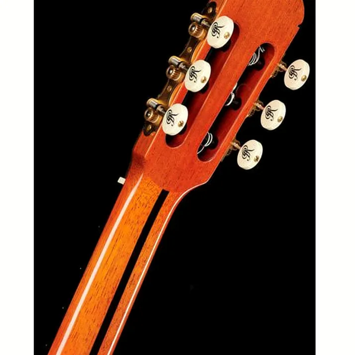 Ramirez Tradicional 1A w. case