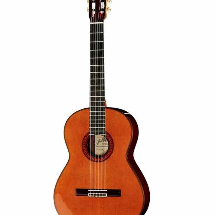 Ramirez Tradicional 1A w. case