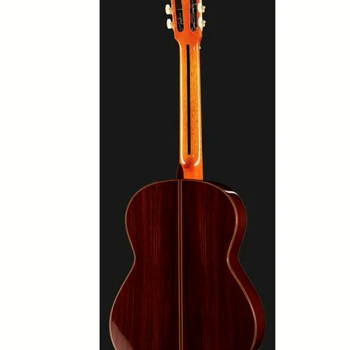 Ramirez Tradicional 1A w. case